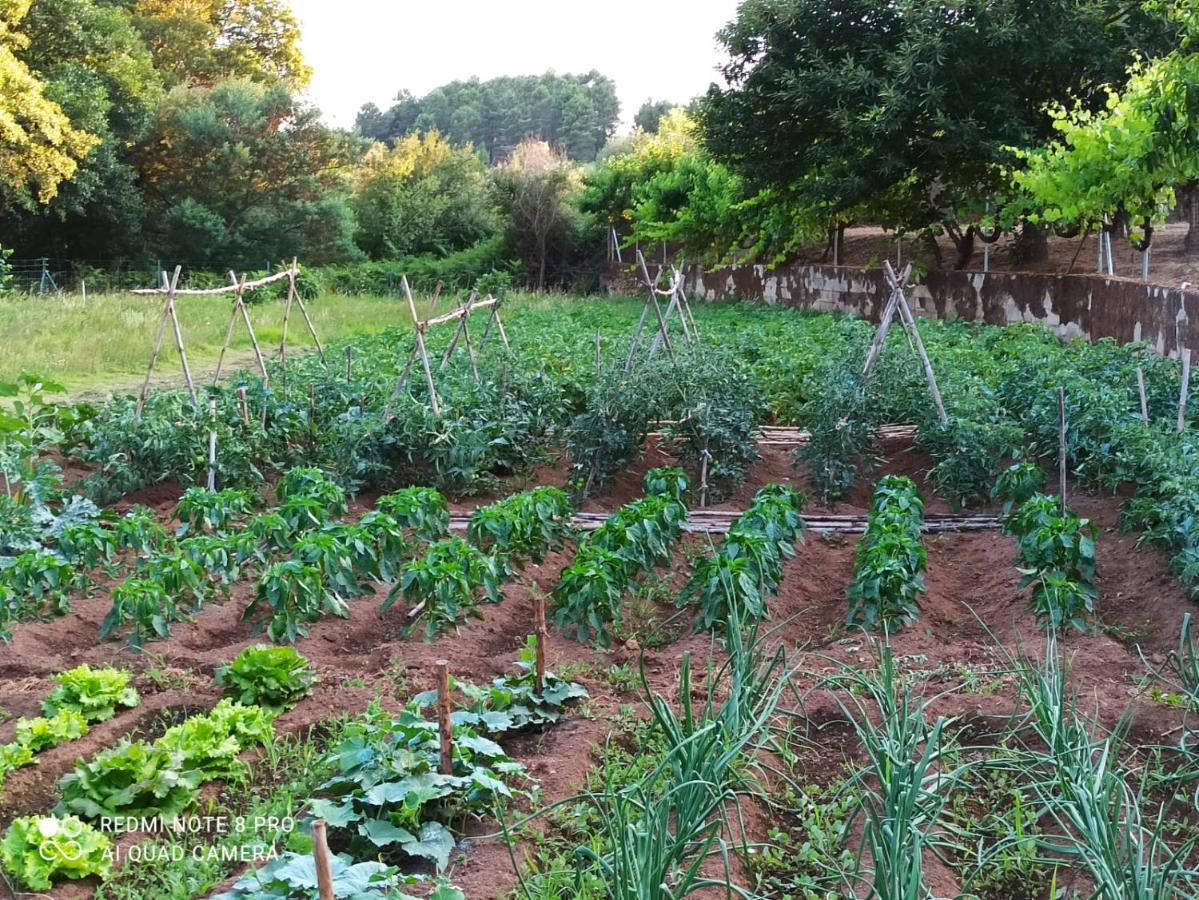 Finca Vergel Gata Εξωτερικό φωτογραφία