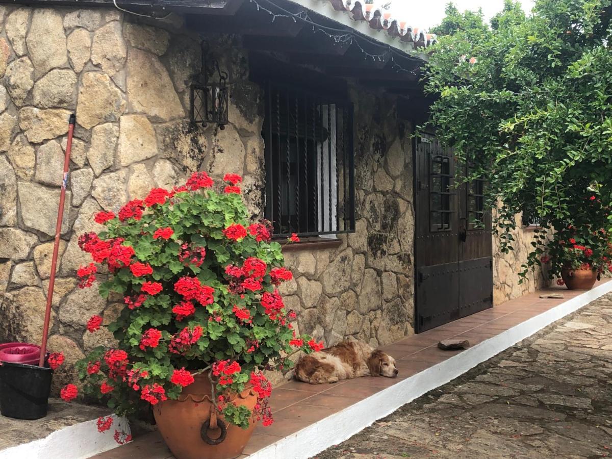 Finca Vergel Gata Εξωτερικό φωτογραφία