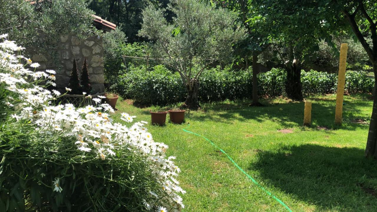 Finca Vergel Gata Εξωτερικό φωτογραφία