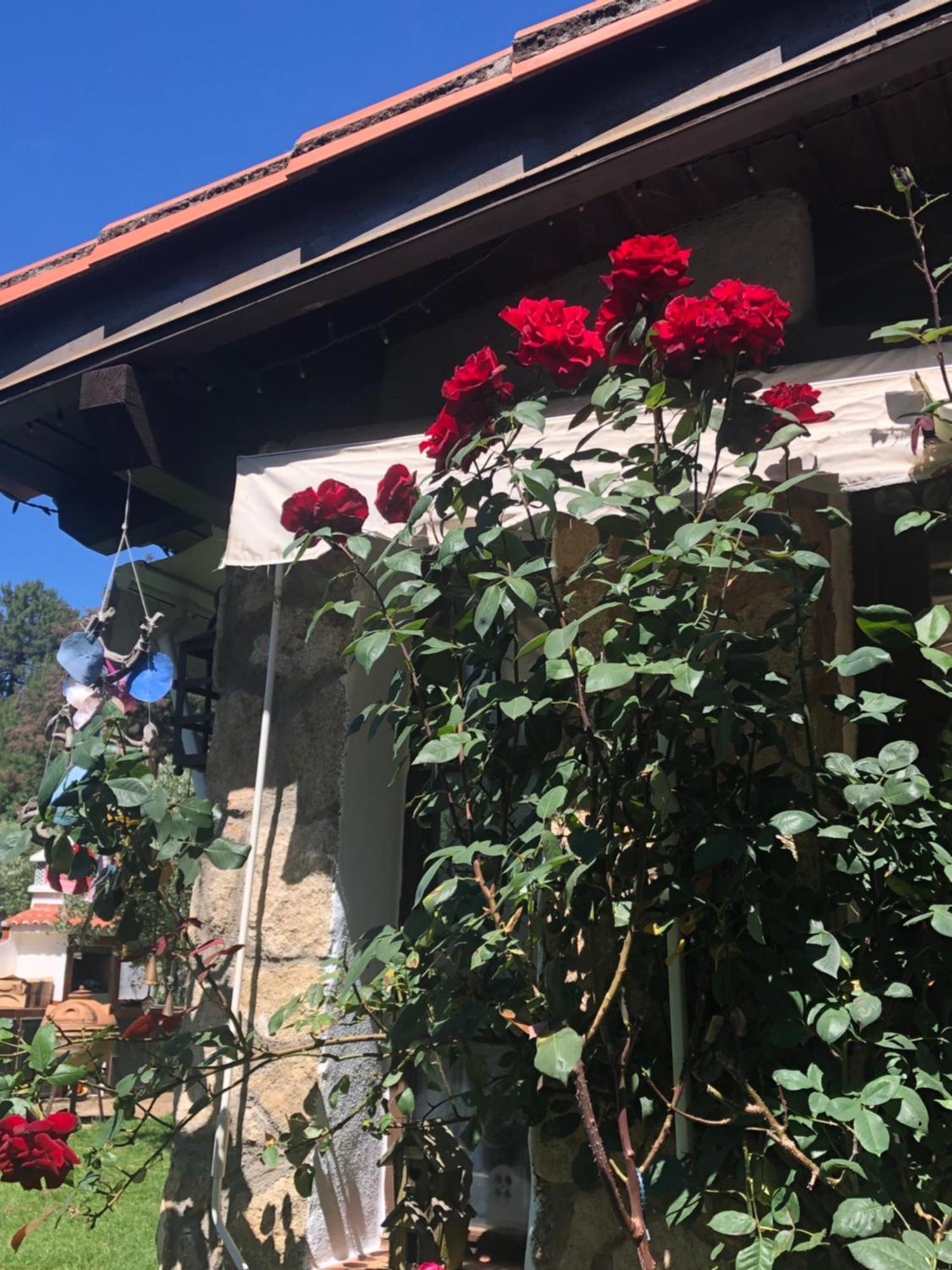 Finca Vergel Gata Εξωτερικό φωτογραφία