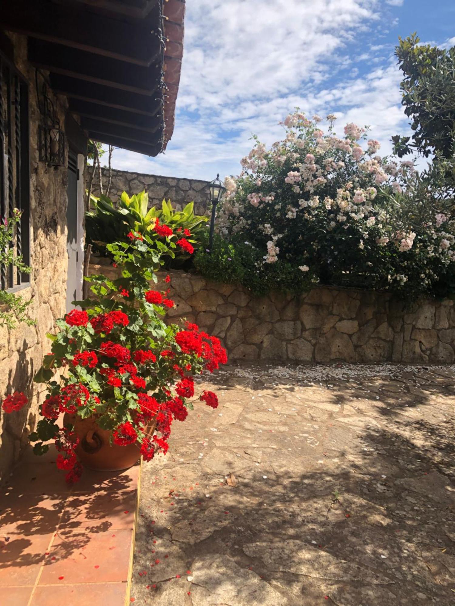 Finca Vergel Gata Εξωτερικό φωτογραφία